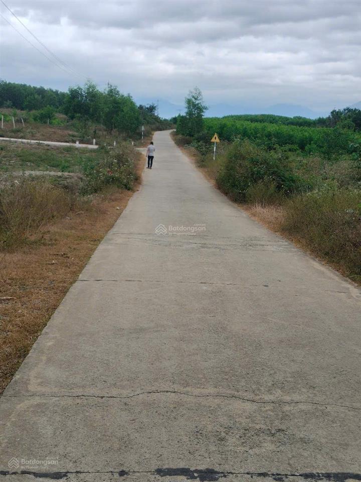 Bán nhanh lô đất khánh hiệp, đường bê tông 6m, 570m2 đất cây hàng năm