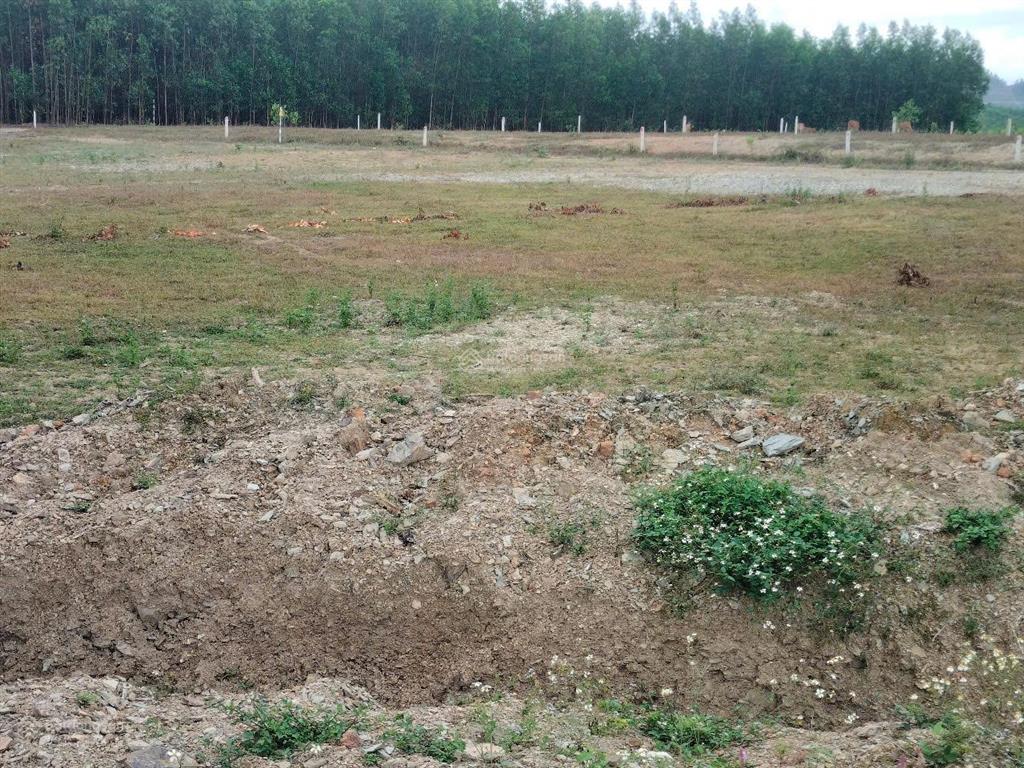 Bán nhanh lô đất khánh hiệp, đường bê tông 6m, 570m2 đất cây hàng năm