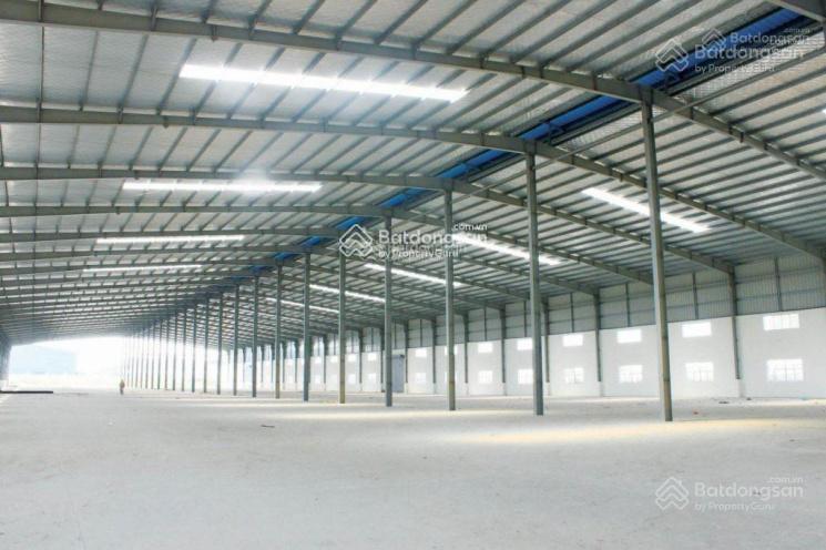Chủ đầu tư khu nam tràng cát  lô 7000 m .tổng 200 ha , chia nhỏ theo nhu cầu. chuỗi logistics.