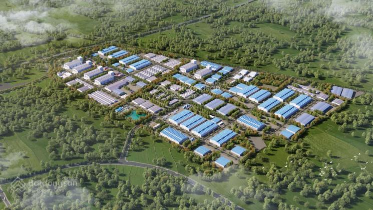 Chủ đầu tư khu hoàng diệu. 5000m². tổng 250ha chia nhỏ theo nhu cầu. giá tốt