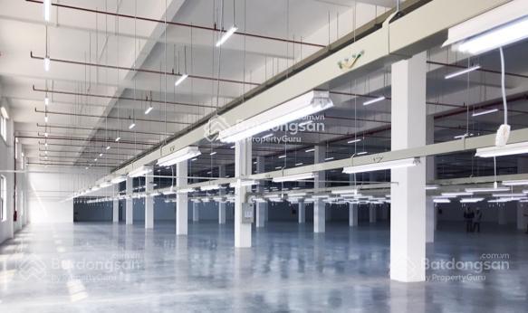 A3 chính chủ cho thuê nhà xưởng 2000 mét. tổng 20.000 mét. chia nhỏ theo nhu cầu các huyện