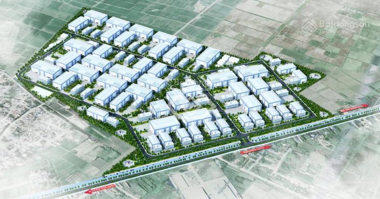 Chủ cụm tân thịnh  5000 m. tổng 50 ,ha. chia nhỏ theo nhu cầu. giá tốt nhất. đất trả 1 lần