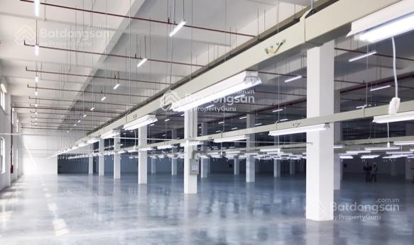 A8chính chủ cho thuê nhà xưởng 2000m2 trong tổng 20.000 m2, nam đình vũ. các huyện tại hải phòng