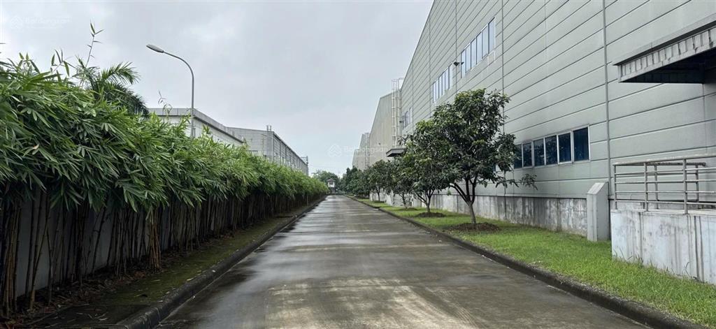 A8chính chủ cho thuê nhà xưởng 2000m2 trong tổng 20.000 m2, nam đình vũ. các huyện tại hải phòng