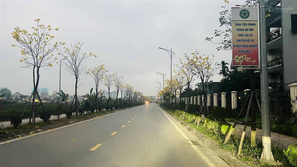 Cho thuê nhà cấp 4 rộng rãi, thoáng mát giữa không gian sinh thái xanh của học viện nông nghiệp