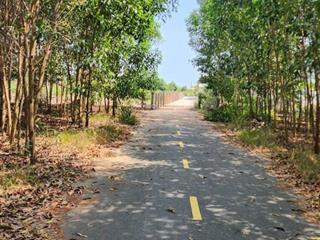 Bán đất hồ tràm có suối bao quanh mặt tiền đường nhựa