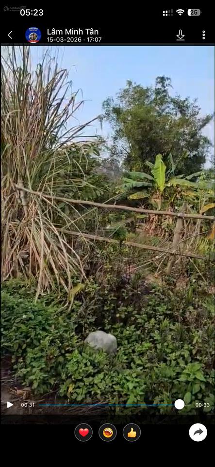 Chinh chu bán đất tại phường minh đức, hải phòng, giá tốt 1,75 tỷ, 135 m2