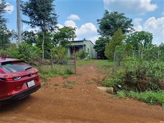 Bán nhà + vườn cây ăn trái tại tân hưng, hớn quản, bình phước, sẵn 400m2 thổ cư