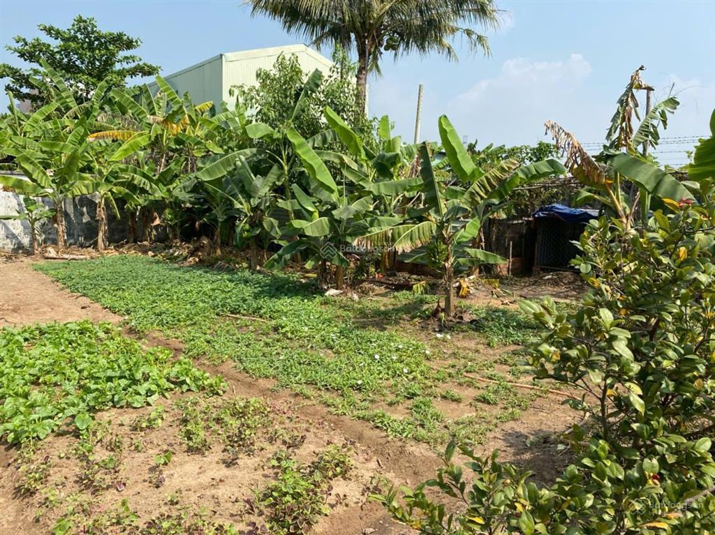 Cho thuê đất vườn tại đại phước nhơn trạch tp đồng nai