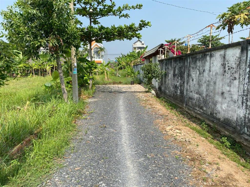 Cho thuê đất vườn tại đại phước nhơn trạch tp đồng nai