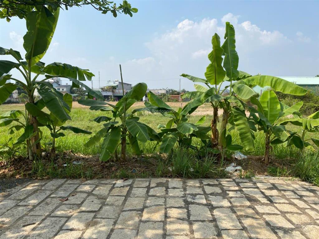 Cho thuê đất vườn tại đại phước nhơn trạch tp đồng nai