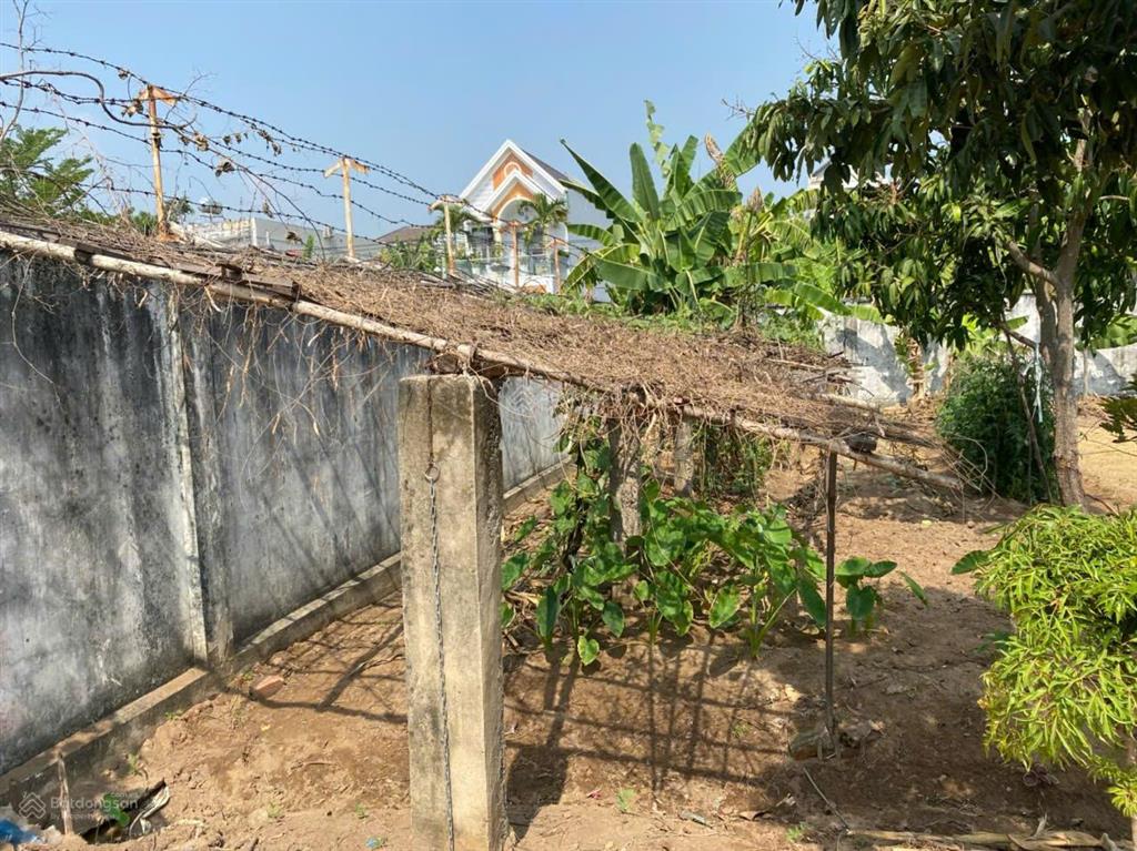 Cho thuê đất vườn tại đại phước nhơn trạch tp đồng nai