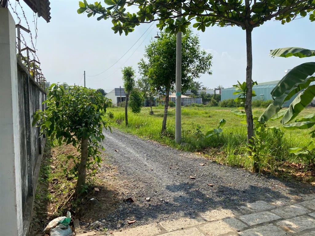 Cho thuê đất vườn tại đại phước nhơn trạch tp đồng nai