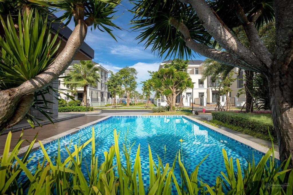 Cập nhật giỏ hàng chuyển nhượng giá tốt nhất tại aqua city
