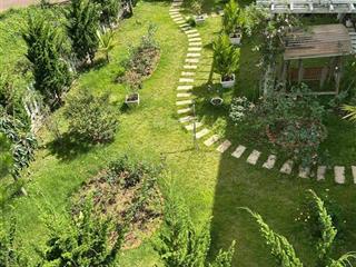 Cần cho thuê căn hộ dịch vụ trong biệt thự đồi mây 25m2