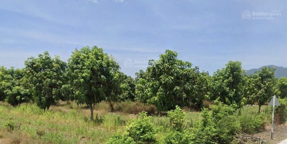 Bán đất view đẹp tại cam nghĩa, cam ranh, khánh hòa, 3,5 tỷ, 1000m2