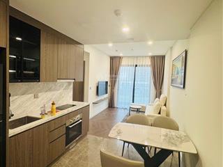 Chính chủ cần cho thuê căn hộ lumiere ever green smart city tây mỗ nam từ liêm 48m2 1 ngủ+ thoáng
