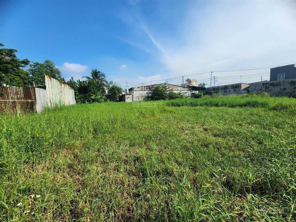 Bán gấp đất nền tại trần đại nghĩa, tân nhựt, bình chánh, 33,5 triệu / m2, 100 m2