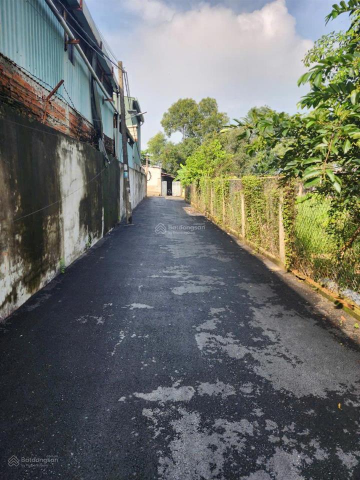 Bán gấp đất nền tại trần đại nghĩa, tân nhựt, bình chánh, 33,5 triệu / m2, 100 m2
