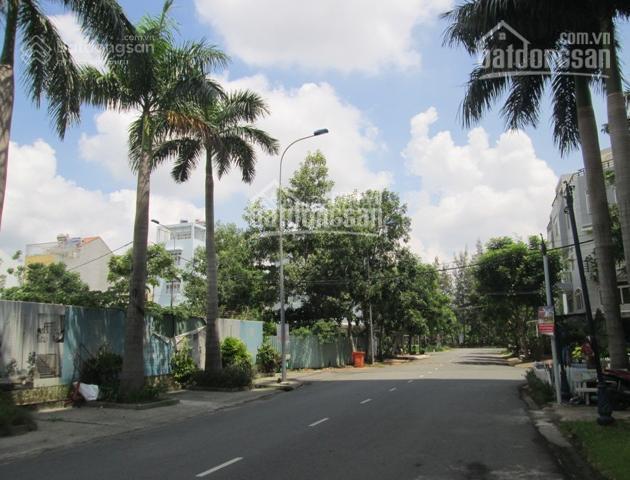 Cần tiền bán căn hộ calla 2 pn giá 3 tỷ