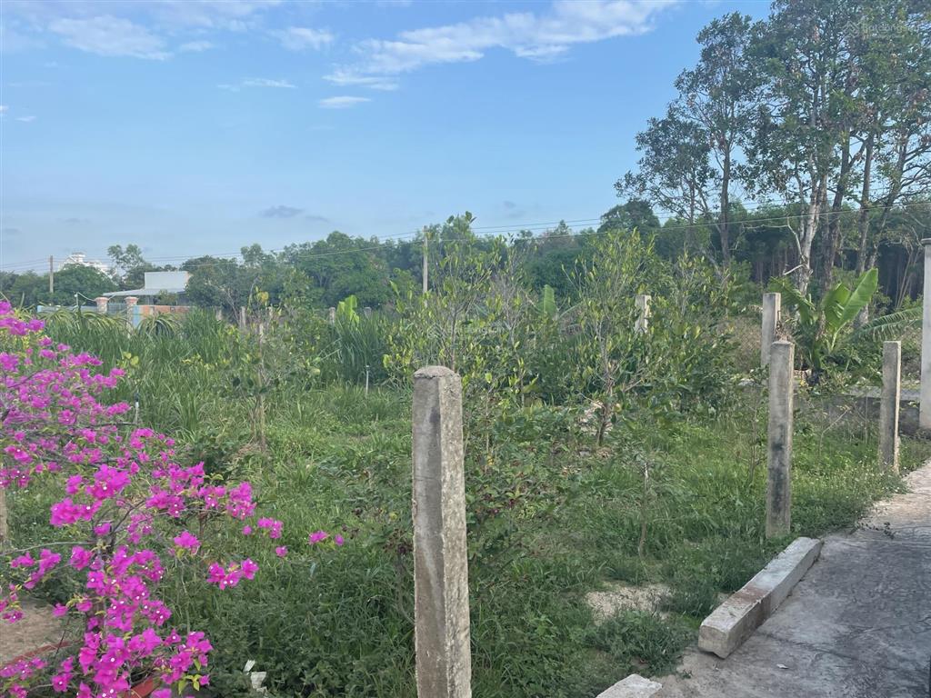 Chính chủ bán 2043m² đất phủ hồng nhà thờ bông trang, cách ql 55 300m