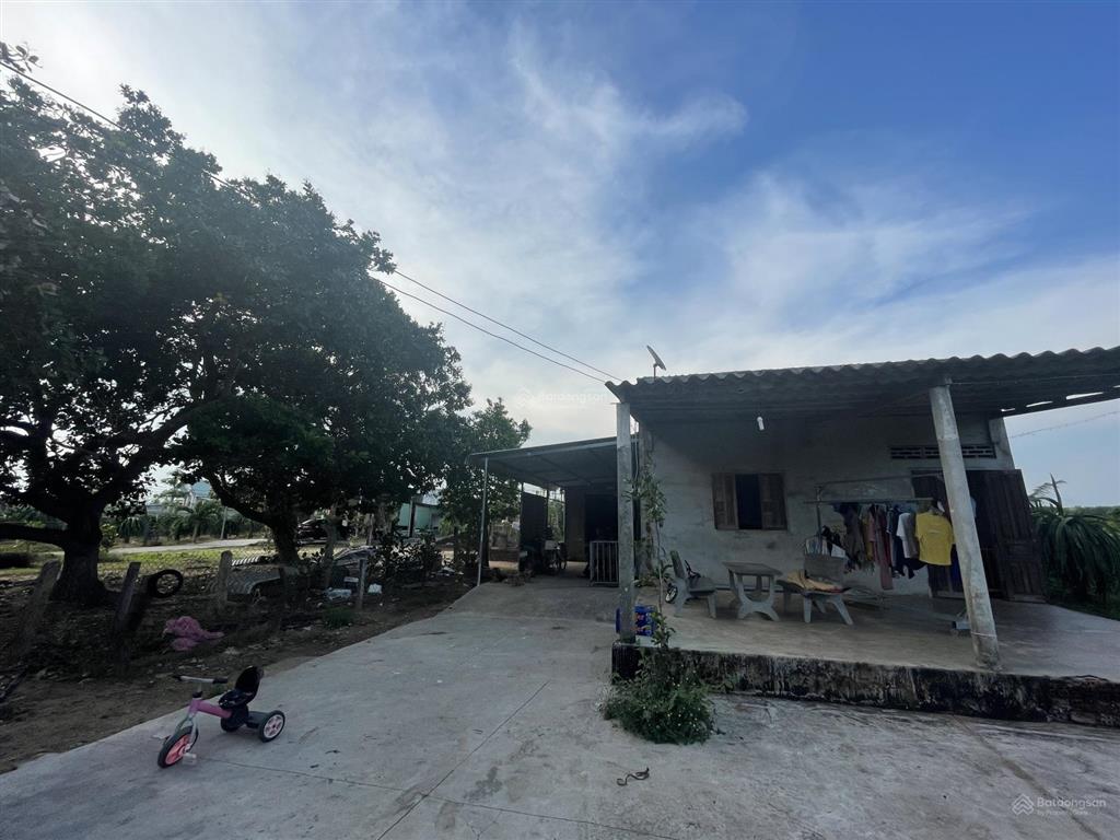 Chính chủ bán 2043m² đất phủ hồng nhà thờ bông trang, cách ql 55 300m