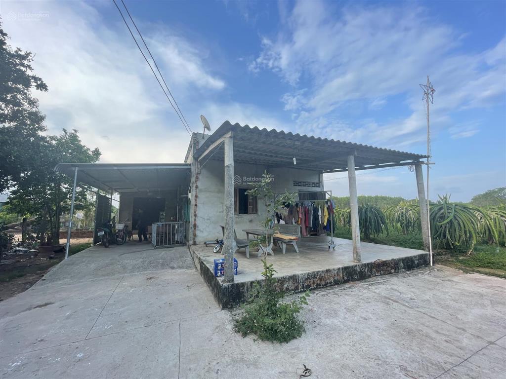 Chính chủ bán 2043m² đất phủ hồng nhà thờ bông trang, cách ql 55 300m