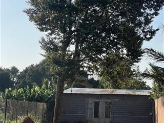 Cho thuê 600m2 đất mặt tiền đường vành đai cũ  6tr/tháng