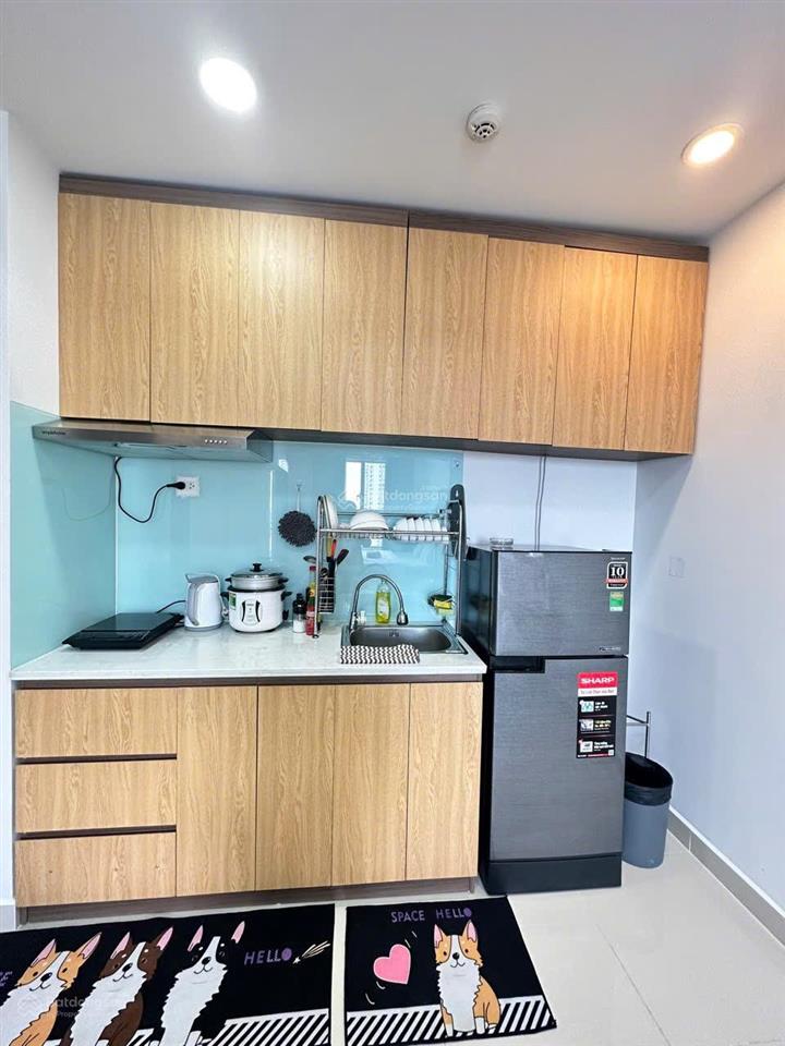 Cho thuê căn hộ studio 40m2 full y hình giá 12tr/th ở sunrise city view quận 7