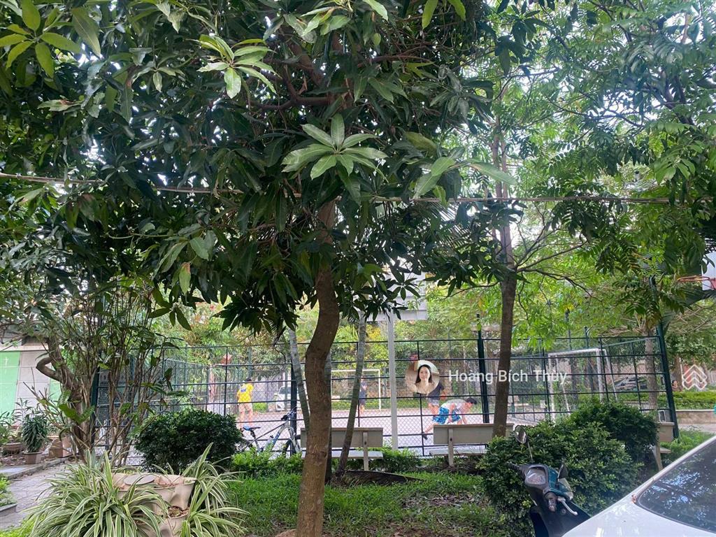 Bán hạ giá biệt thự bán đảo linh đàm  203m2  mt 14m  75 tỷ  căn góc  view hồ