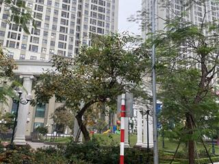 Bán biệt thự shophouse quần thể chung cư roman  hải phát  đẹp nhất hà đông  195m2  225 tr/m2