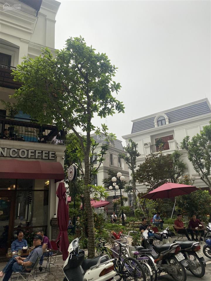 Bán biệt thự shophouse quần thể chung cư roman  hải phát  đẹp nhất hà đông  195m2  225 tr/m2