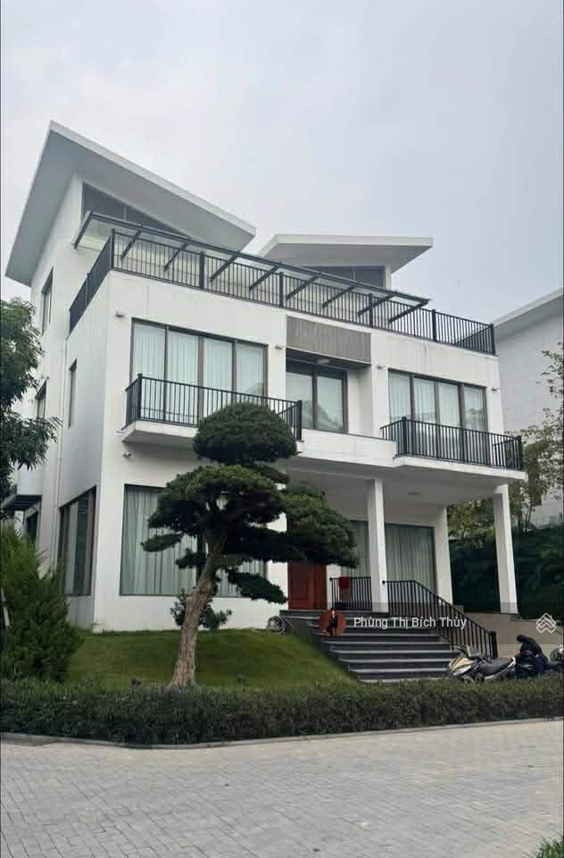 (chính chủ) bán đất xây building mặt phố nguyễn sơn gần bv tâm anh 300m2 mt13m 125 tỷ