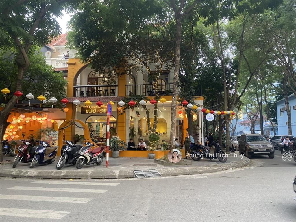 Siêu phẩm mặt phố kinh doanh đẳng cấp phố nguyễn khánh toàn 105m2 giá cả linh động cần bán!
