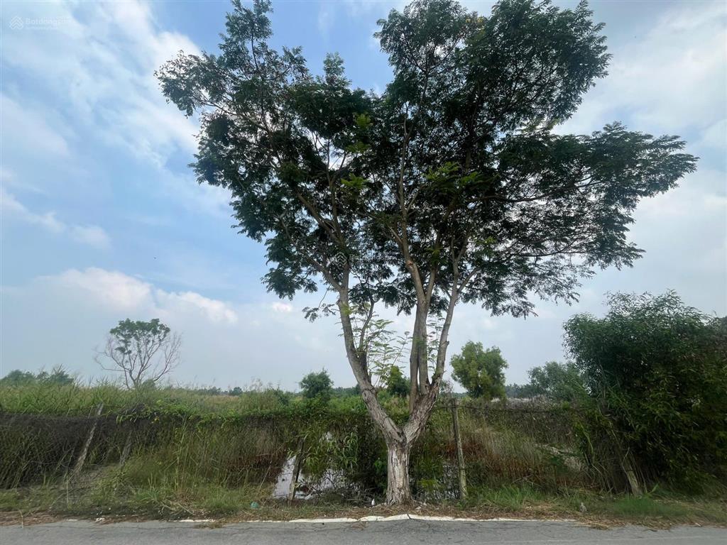 Đất trung tâm cần giờ 1700m2 có 1000m2 thổ cư 32 tỷ