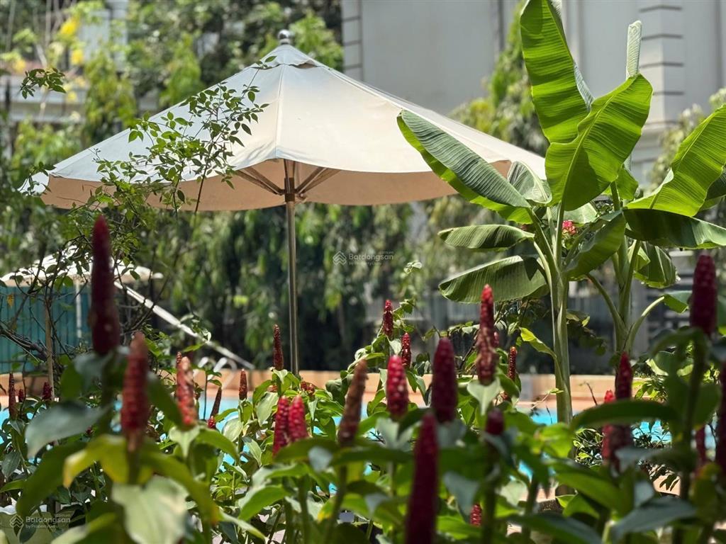 Căn hộ greenview, nguyễn lương bầng, p.tân mỹ, phú mỹ hưng, tp.hcm, 0943 783 *** lan