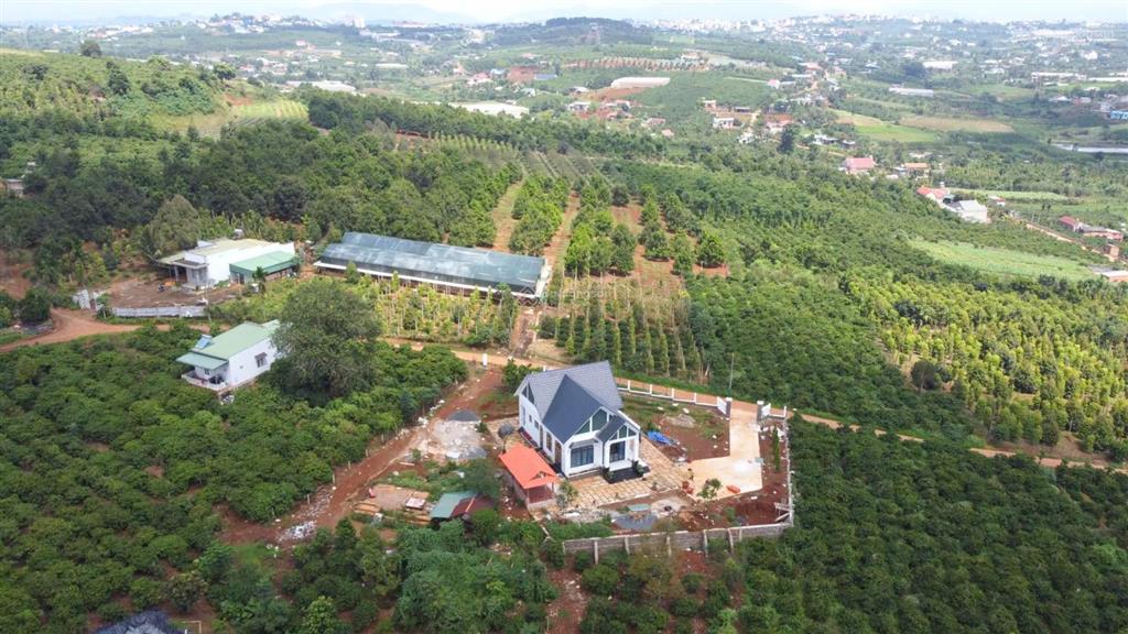 Bán nhanh 16,6m x 62m, 100m2 xd, view thoáng, có thể tách làm 3 lô, giá chỉ 900 tr