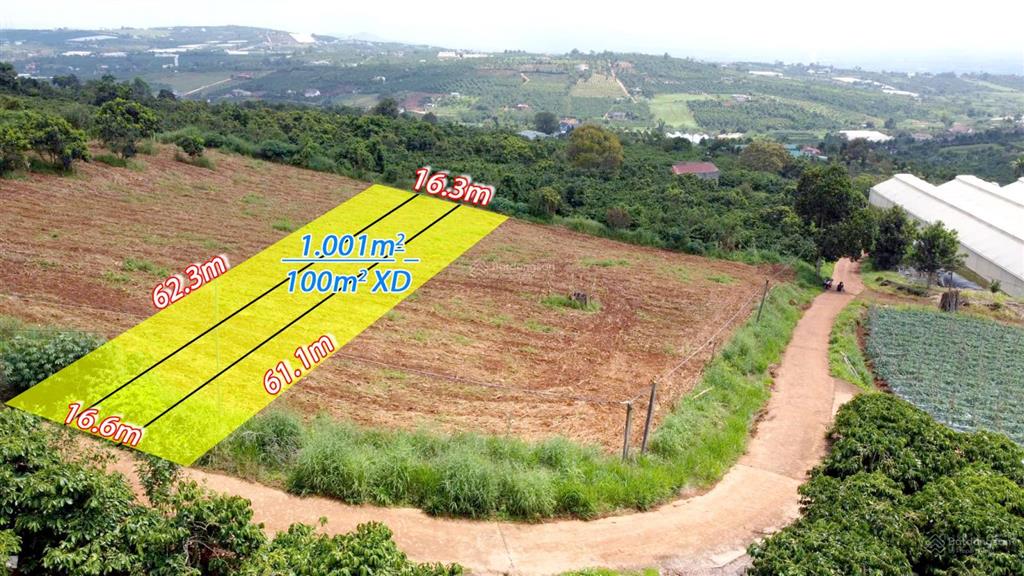 Bán nhanh 16,6m x 62m, 100m2 xd, view thoáng, có thể tách làm 3 lô, giá chỉ 900 tr