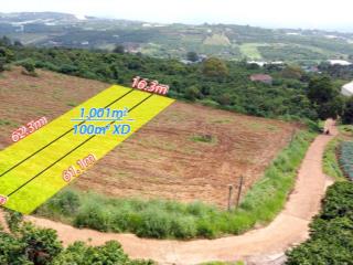 Bán nhanh 16,6m x 62m, 100m2 xd, view thoáng, có thể tách làm 3 lô, giá chỉ 900 tr