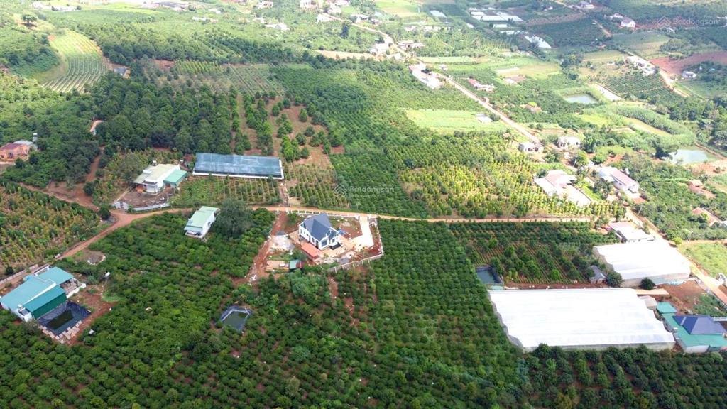 Bán nhanh 16,6m x 62m, 100m2 xd, view thoáng, có thể tách làm 3 lô, giá chỉ 900 tr