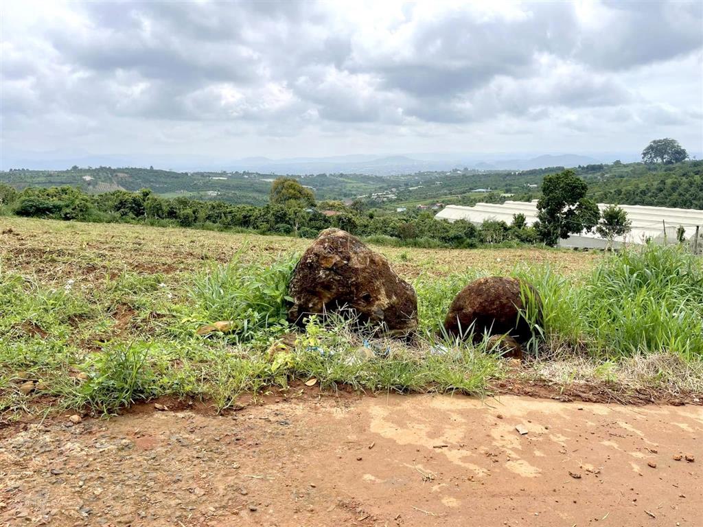 Bán nhanh 16,6m x 62m, 100m2 xd, view thoáng, có thể tách làm 3 lô, giá chỉ 900 tr