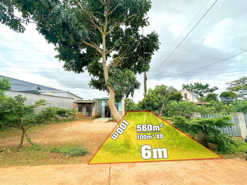 Bán 561m2  6m x 100m, 100m2 thổ cư tại xã tân hội mới