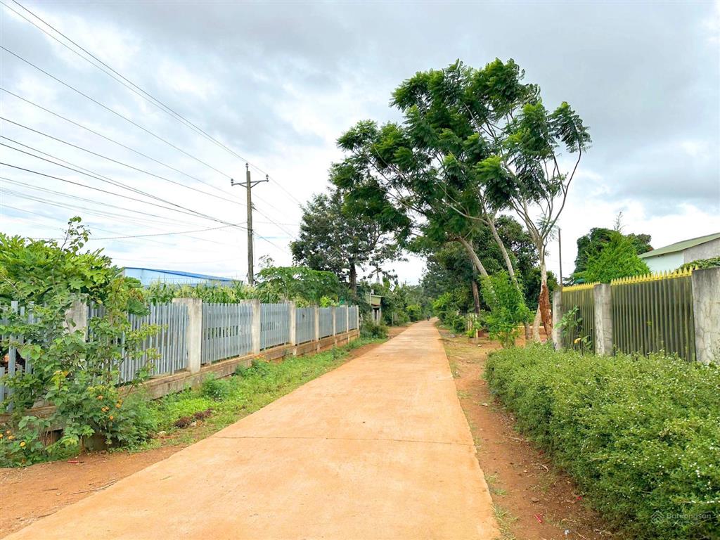 Bán 561m2  6m x 100m, 100m2 thổ cư tại xã tân hội mới
