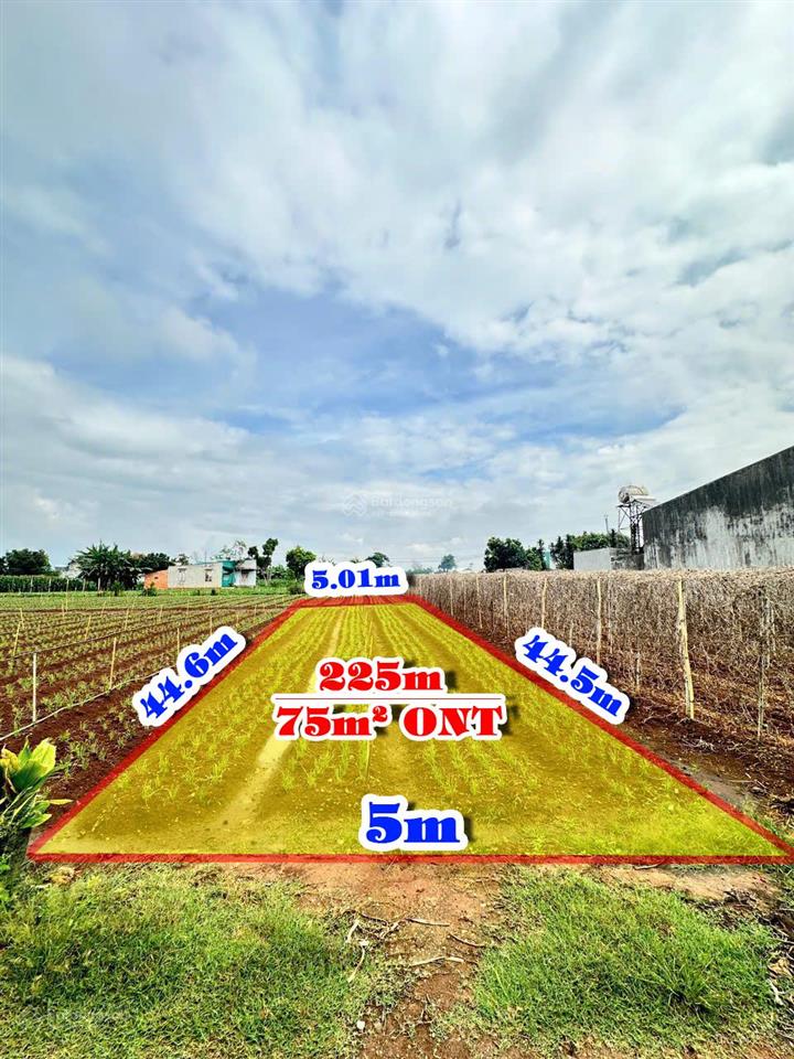 Bán nhanh mảnh đất 5m x 45m gần quốc lộ 20  thị trấn liên nghĩa cũ / đức trọng