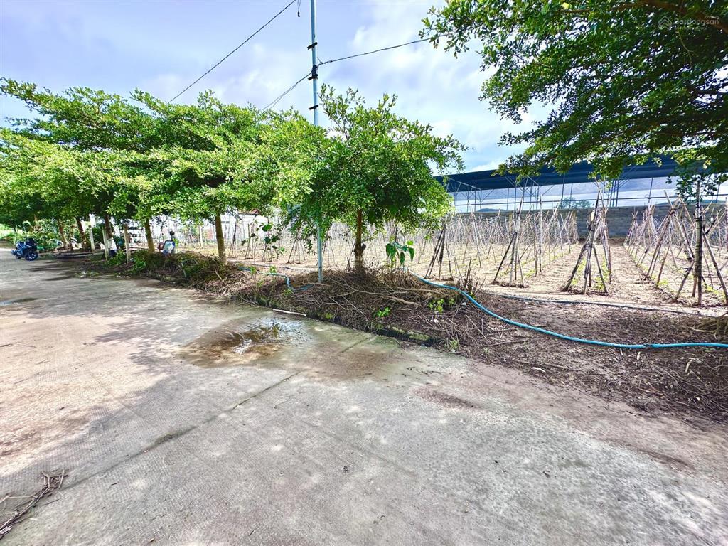 Bán 12m x 21m / 150m2 thổ cư. gần sông đa nhim, đức trọng