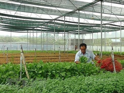 Chuyển nhượng dự án 1417ha du lịch sinh thái  tâm linh  trồng dược liệu  công/nông nghiệp cnc