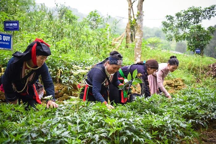 Chuyển nhượng dự án 1417ha du lịch sinh thái  tâm linh  trồng dược liệu  công/nông nghiệp cnc