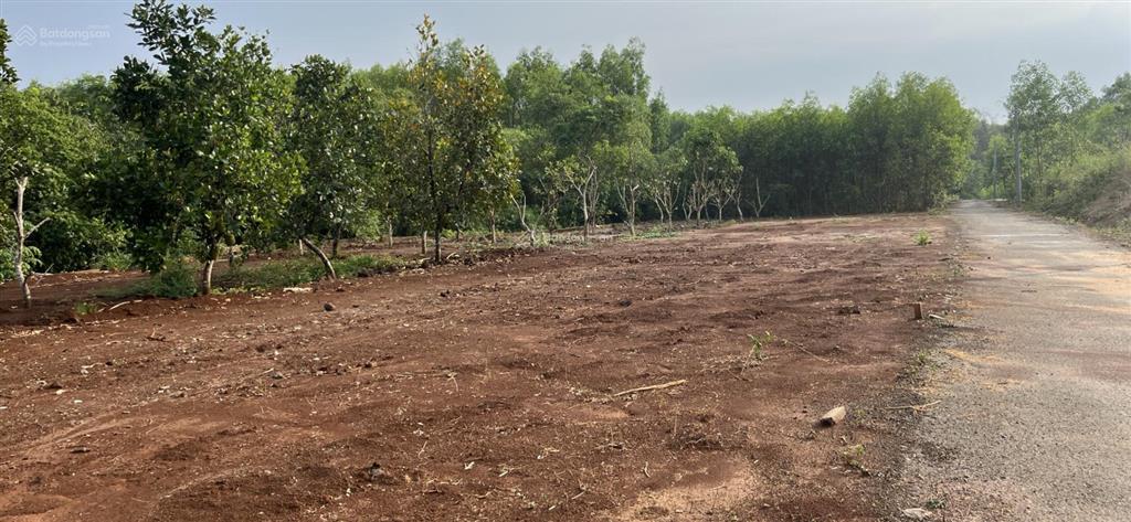 Bán đất tại đường tân hiệp, phước thái, long thành, 1,3 tỷ, 90m2