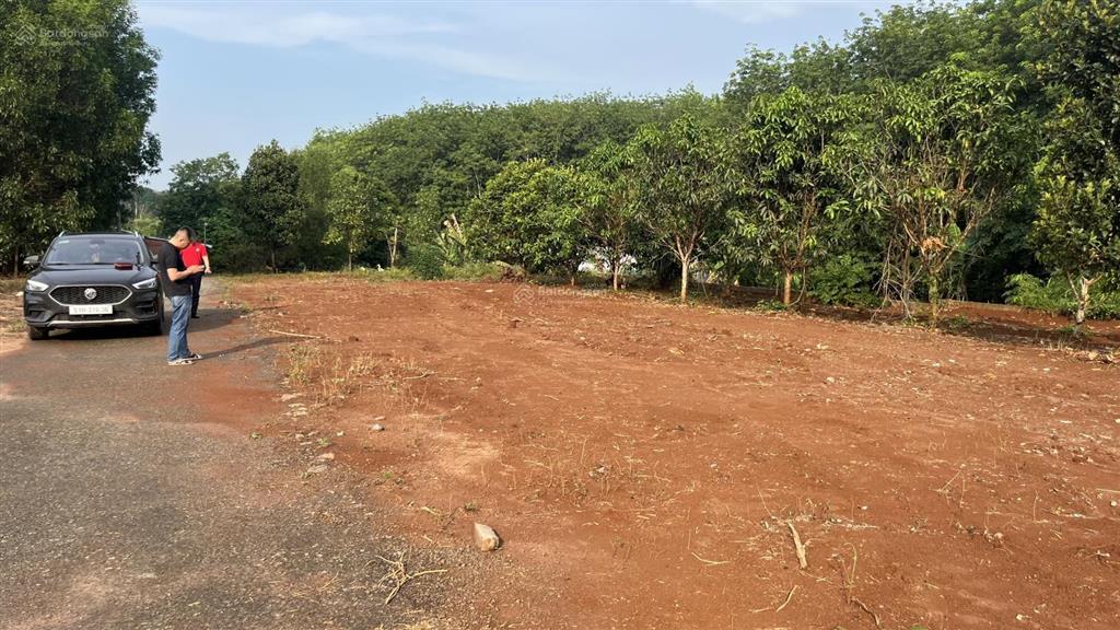 Bán đất tại đường tân hiệp, phước thái, long thành, 1,3 tỷ, 90m2