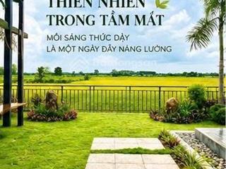 Bán gấp biệt thự 2pn, 3wc tại láng dài, long đất, bà rịa vũng tàu, 3,5 tỷ, 500m2